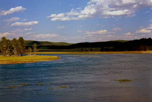 20000801   Yellowstone 145